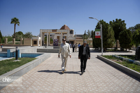 سردار