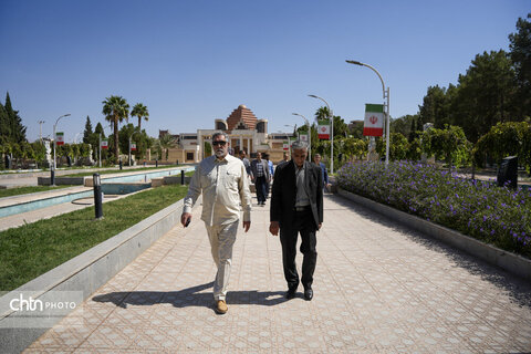سردار