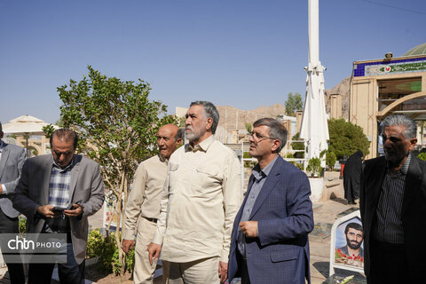 سردار