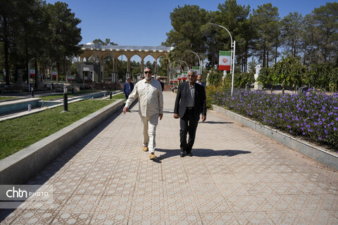سردار