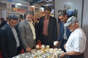 بازدید معاون هماهنگی امور عمرانی استاندار یزد از نمایشگاه صنایع‌دستی