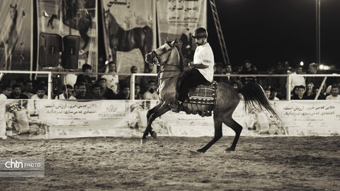 جشنواره اسب کرد