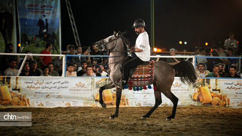 جشنواره اسب کرد
