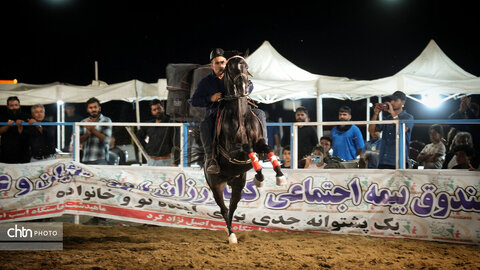 جشنواره اسب کرد