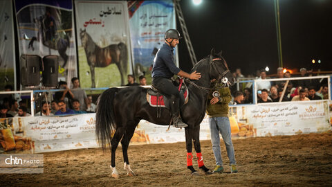جشنواره اسب کرد