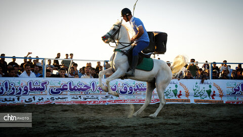 جشنواره اسب کرد