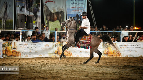 جشنواره اسب کرد