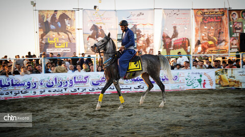 جشنواره اسب کرد