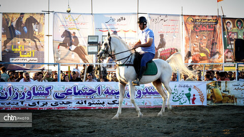 جشنواره اسب کرد