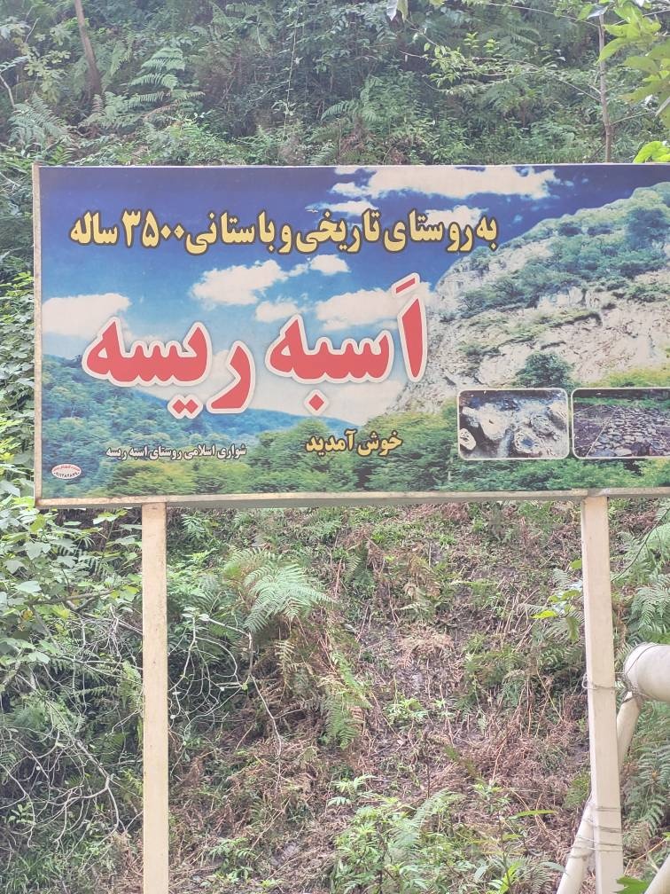 تالش؛ سرزمین پیوند جنگل، فرهنگ و تاریخ در البرز غربی