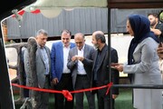 تالاب عینک رشت در مدار گردشگری آبی؛ بهره‌برداری از شناور تفریحی مهتاب
