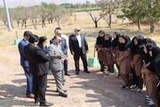 از کلاس درس تا تپه ازبکی؛ یک قدم برای آشتی دانش‌آموزان با تاریخ