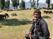 یک قاب از زندگی در دل طبیعت