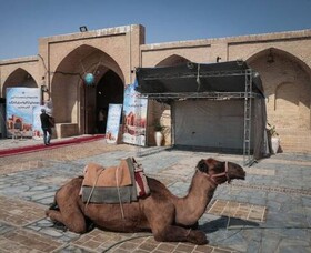 کنارگرد دوباره جان گرفت