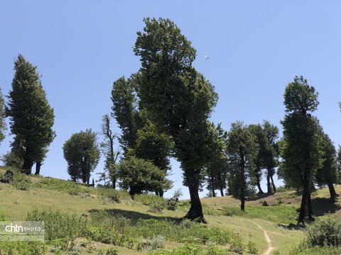 ارتفاعات مینودشت