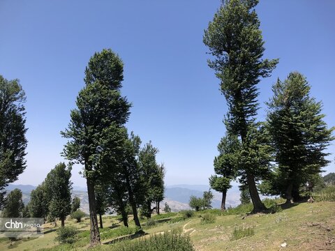 ارتفاعات مینودشت