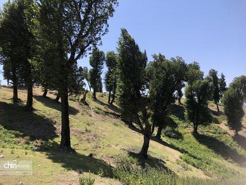 ارتفاعات مینودشت