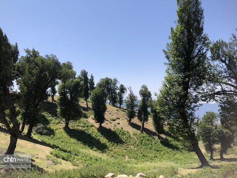 ارتفاعات مینودشت