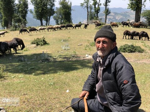 یک قاب از زندگی در دل طبیعت