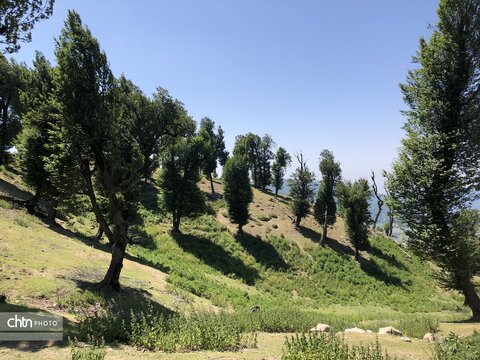ارتفاعات مینودشت