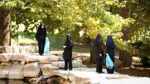بیستون