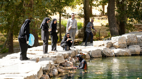بیستون