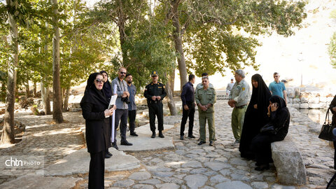 بیستون