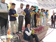 نخستین جشنواره انگور وصله و بادام کندتپه برگزار شد