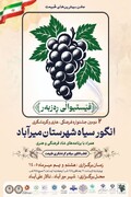 دومین جشنواره انگور سیاه‌ در میرآباد برگزار می‌شود