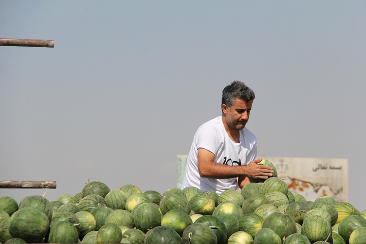 هندوانه