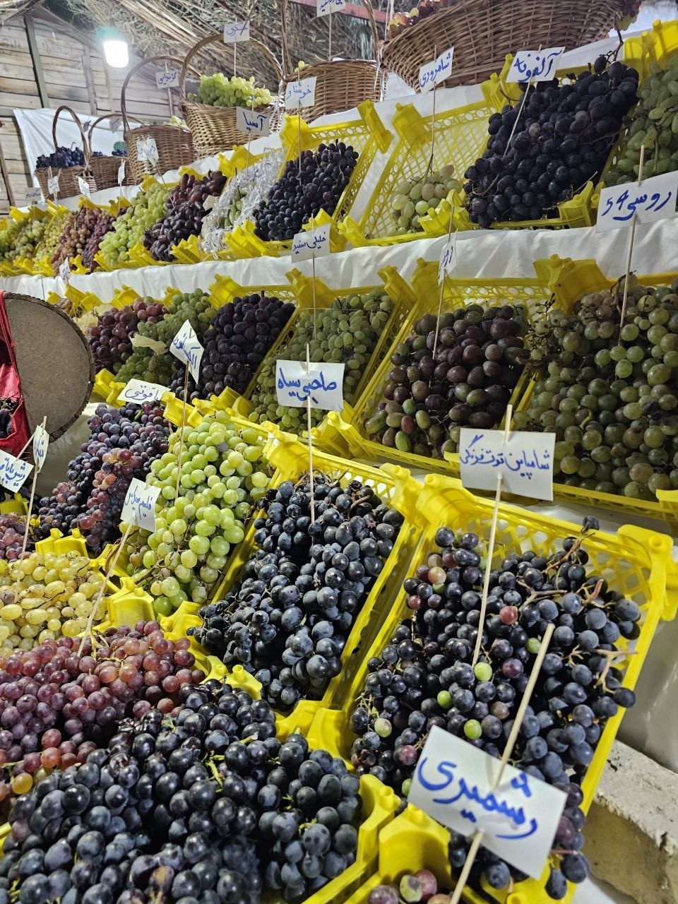 ظرفیت‌های پنهان گردشگری ارومیه؛ از انگورچینی تا دوشاب‌پزی