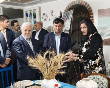 افتتاح خانه صنایع‌دستی برکه شیروان با حضور علی دارابی