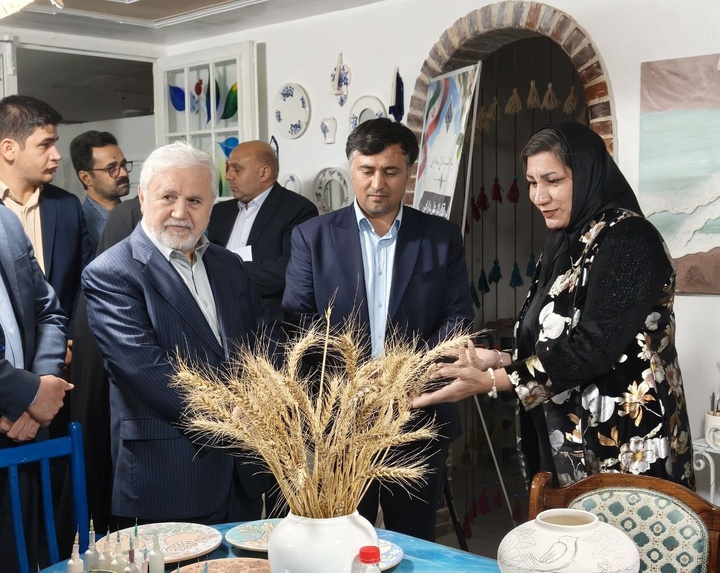 افتتاح خانه صنایع‌دستی برکه شیروان با حضور علی دارابی