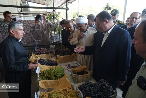 دومین جشنواره انگور سیاه میرآباد