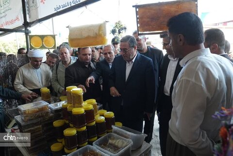 دومین جشنواره انگور سیاه میرآباد