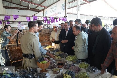 دومین جشنواره انگور سیاه میرآباد