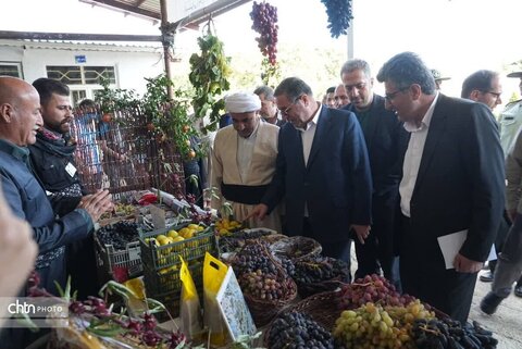 دومین جشنواره انگور سیاه میرآباد