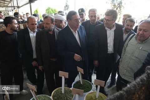 دومین جشنواره انگور سیاه میرآباد