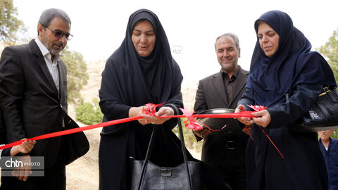 زنگی