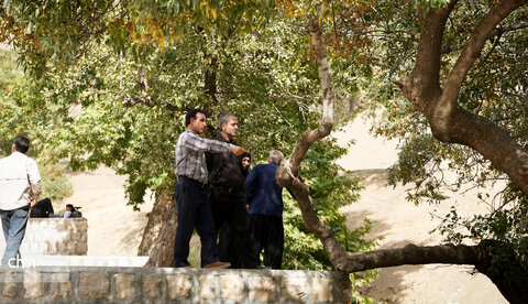 زنگی