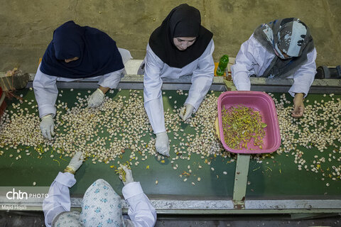 وقتی خانه تا باغ امتداد پیدا می‌کند