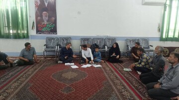 برنامه‌ریزی برای برگزاری جشنواره زرشک در روستای افین زیرکوه