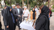 راه‌اندازی روزبازار صنایع‌دستی در بروجرد/ گامی برای حمایت از هنرمندان ورشوکار