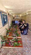 تجدید میثاق کارکنان میراث‌فرهنگی شمیرانات با شهدای گمنام کهف‌الشهدا