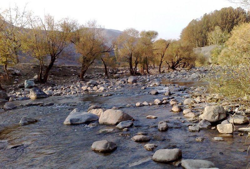 روستای کاوهده فیروزکوه؛ پیوند اسطوره کاوه آهنگر و سرو کهنسال