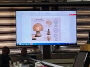 رویداد رونمایی ۳۶۰ طرح خلاقانه آبگینه استاد رحمانی
