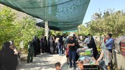 بازارچه محلی و جشن مردمی برداشت آلو در روستای کُرُه شهرستان قاینات برگزار شد