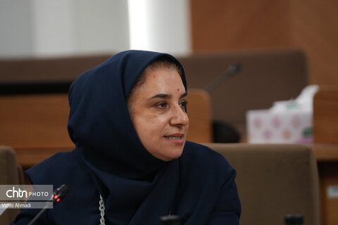 نشست کارگروه اقدام مشترک مدیریت زنجیره ارزش صنایع دستی کشور