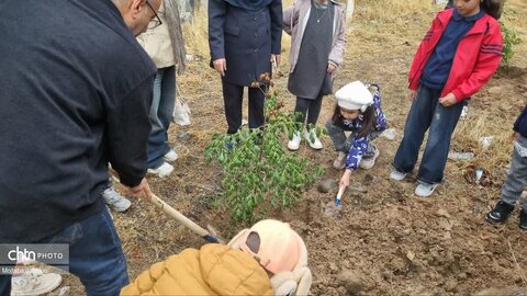 برگزاری برنامه «نهال هویت» به مناسبت هفته ملی و روز کودک در زنجان
