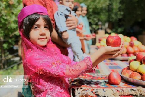 سپیدان؛ بهشت گردشگری در فصل برداشت سیب